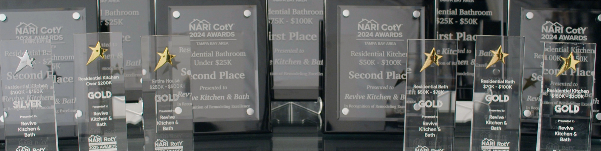 Revive New Awards Image Section